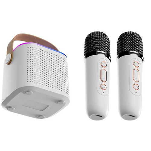 اسپیکر کارائوکه بلوتوثی مدل Y1 با دو میکروفون قابل حمل